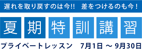 子供英会話 幼児英会話ならnesイングリッシュスクール